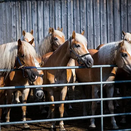 Wegwartehof * Gopfritz an der Wild