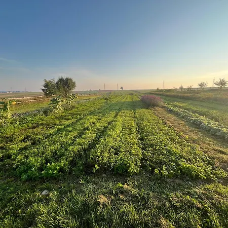 Διαμέρισμα Wegwartehof Gopfritz an der Wild