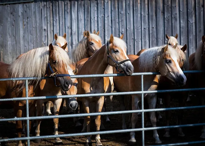 Wegwartehof * Gopfritz an der Wild