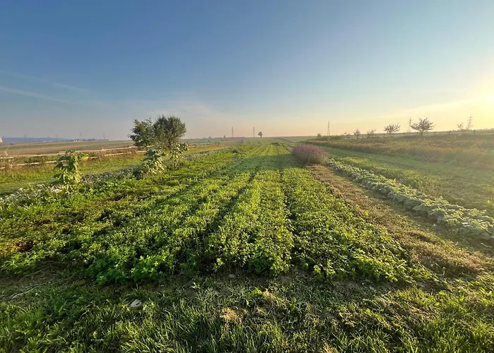Διαμέρισμα Wegwartehof Gopfritz an der Wild